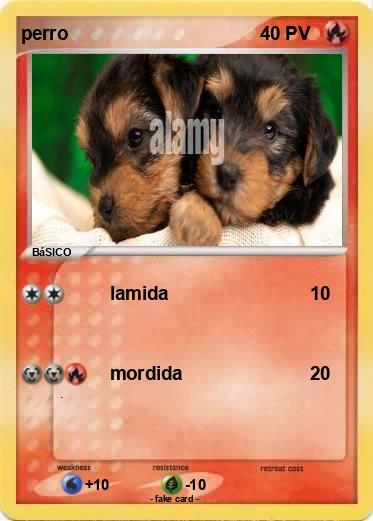 Pokemon perro