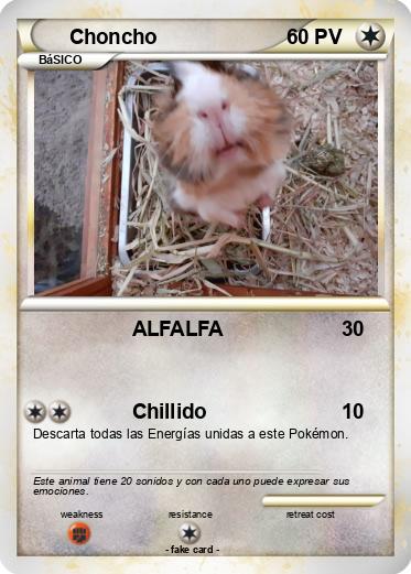 Pokemon Choncho
