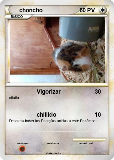 Pokemon choncho