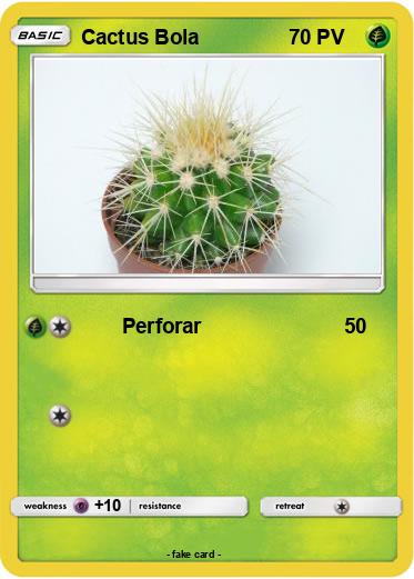 Pokemon Cactus Bola