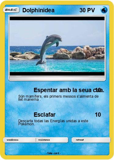 Pokemon Dolphinidea
