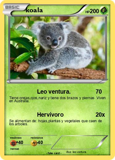 Pokemon koala