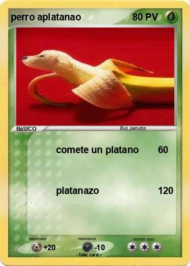 Pokemon perro aplatanao