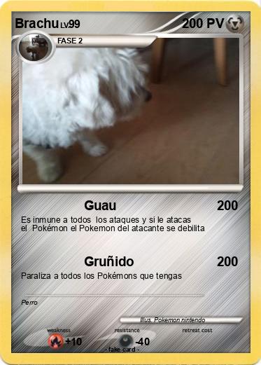Pokemon Brachu
