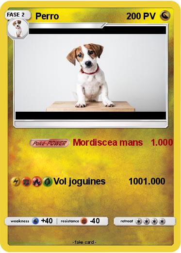 Pokemon Perro