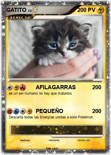 Pokemon GATITO