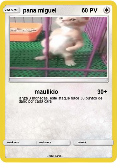 Pokemon pana miguel