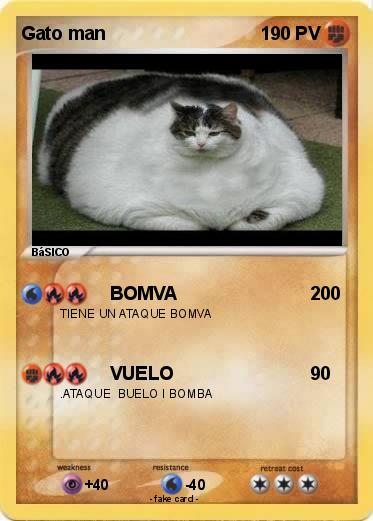 Pokemon Gato man