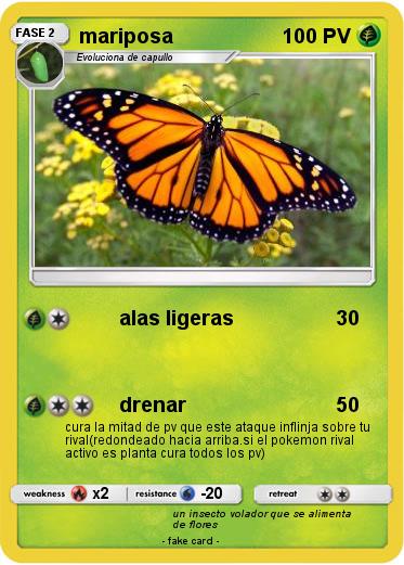 Pokemon mariposa