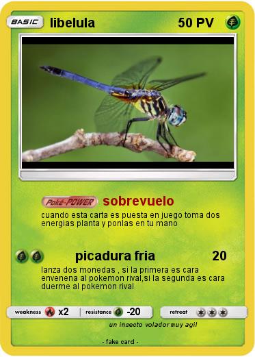 Pokemon libelula