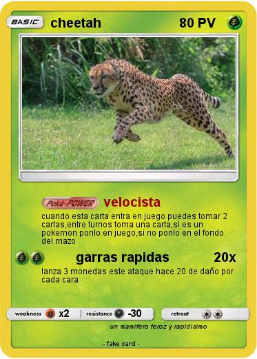 Pokemon cheetah