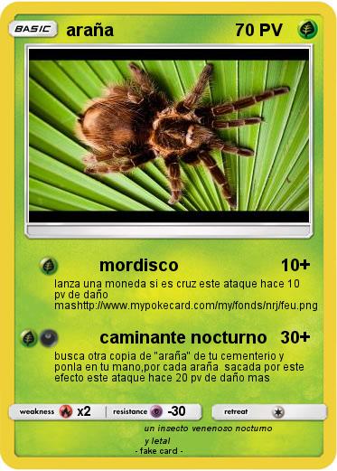 Pokemon araña