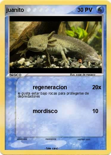 Pokemon juanito