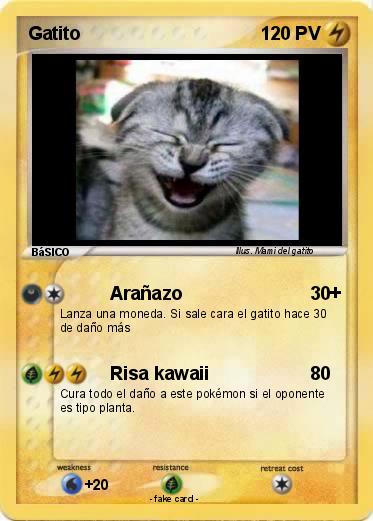 Pokemon Gatito