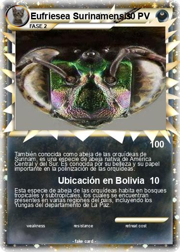 Pokemon Eufriesea Surinamensis