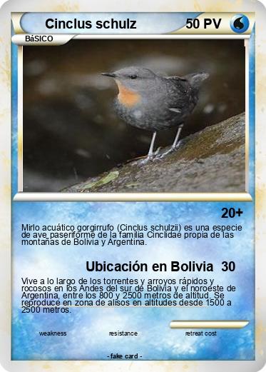 Pokemon Cinclus schulz
