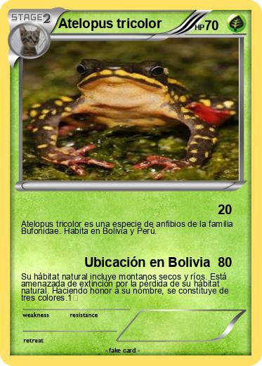 Pokemon Atelopus tricolor