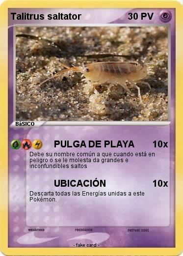Pokemon Talitrus saltator