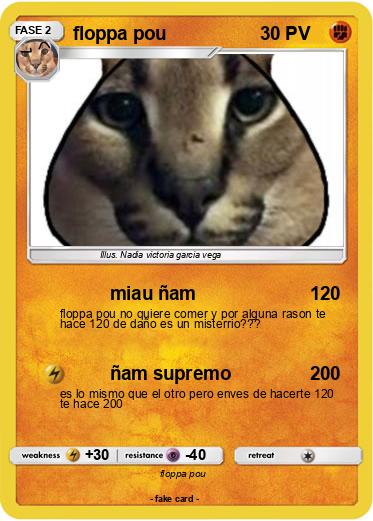 Pokemon floppa pou