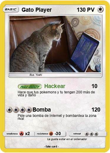 Pokemon Gato Player