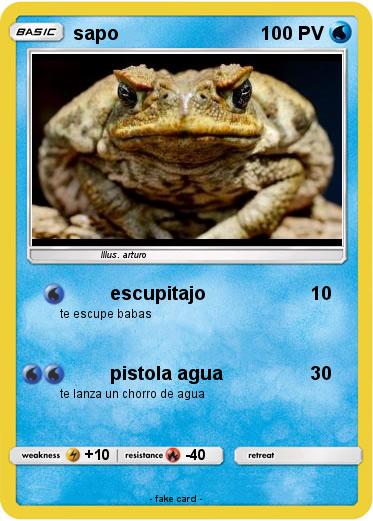 Pokemon sapo
