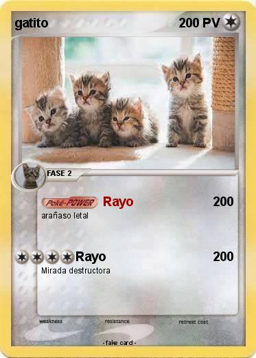 Pokemon gatito