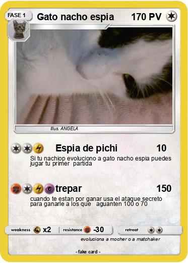 Pokemon Gato nacho espia