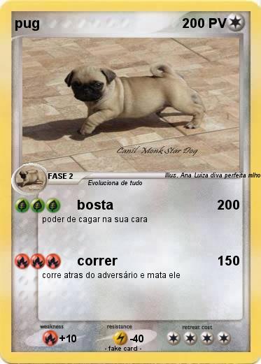 Pokemon pug
