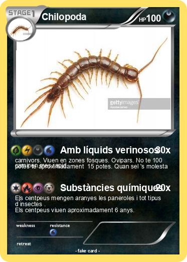 Pokemon Chilopoda