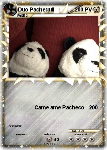 Pokemon Duo Pachequil