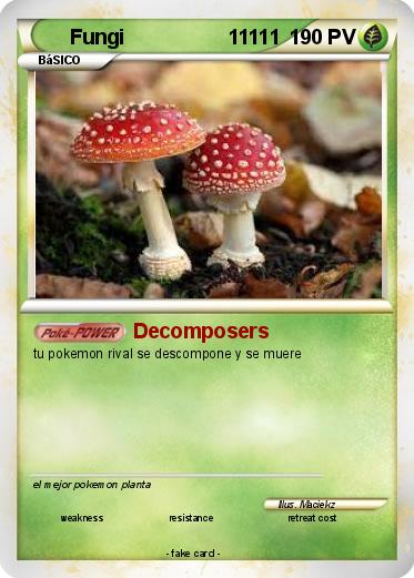 Pokemon Fungi                  11111