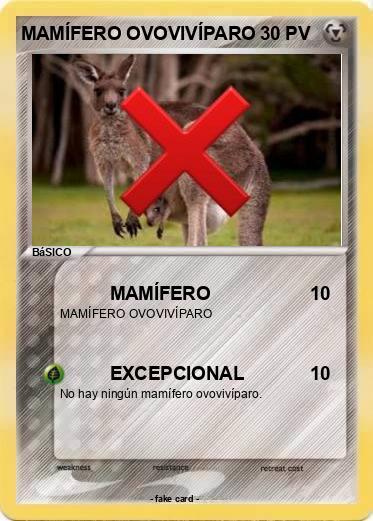 Pokemon MAMÍFERO OVOVIVÍPARO