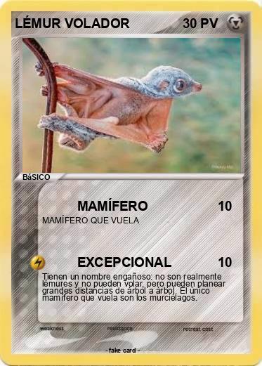 Pokemon LÉMUR VOLADOR