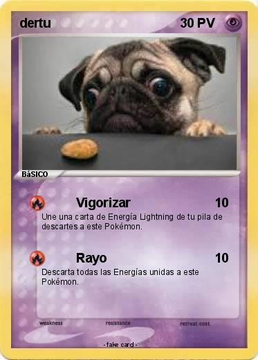 Pokemon dertu