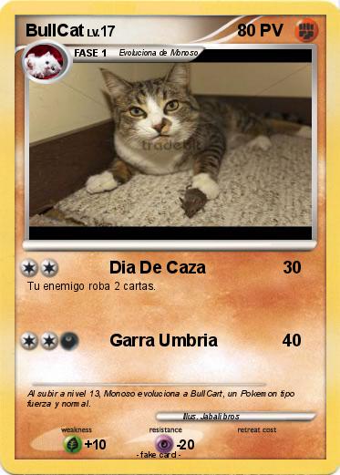 Pokemon BullCat