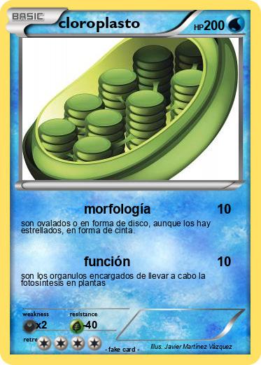Pokemon cloroplasto