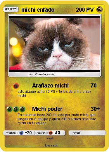 Pokemon michi enfado