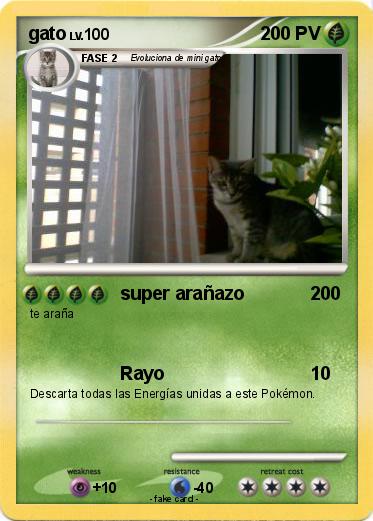 Pokemon gato