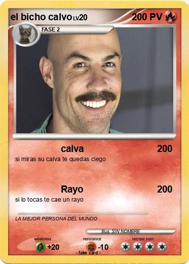 Pokemon el bicho calvo