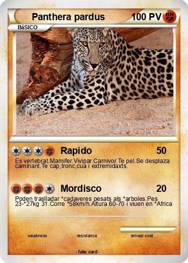 Pokemon Panthera pardus