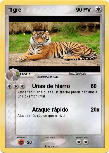 Pokemon Tigre