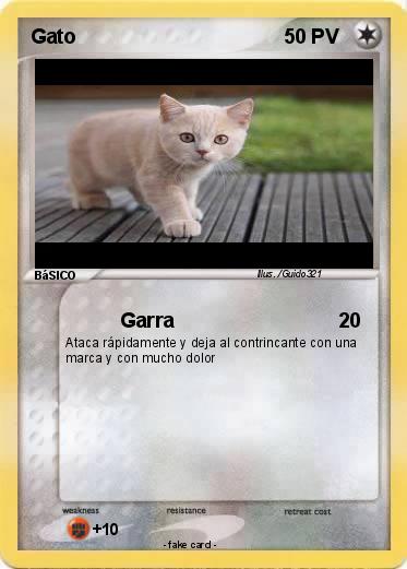 Pokemon Gato