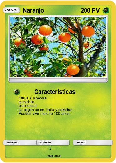 Pokemon Naranjo