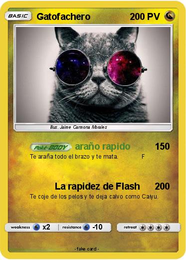 Pokemon Gatofachero