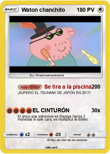 Pokemon Waton chanchito