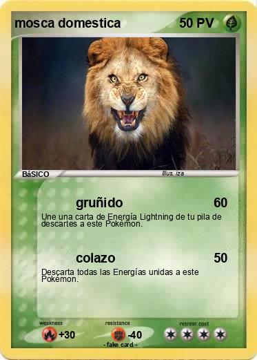 Pokemon mosca domestica