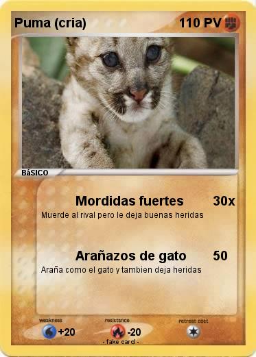Pokemon Puma (cria)
