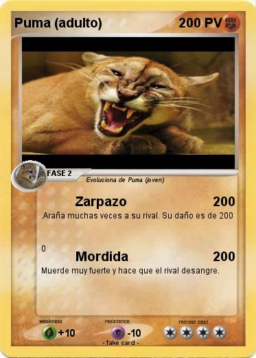Pokemon Puma (adulto)