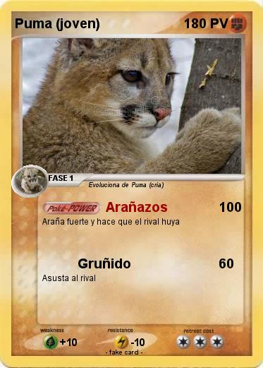 Pokemon Puma (joven)