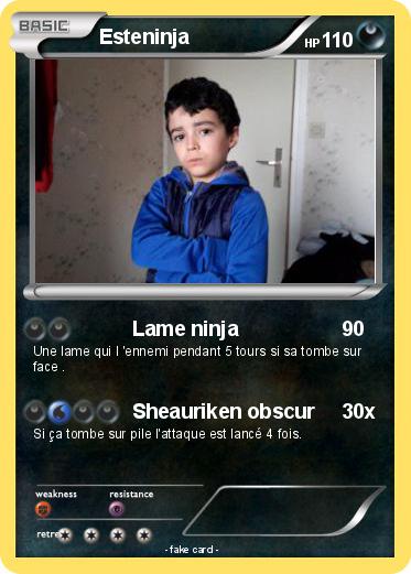 Pokemon Esteninja